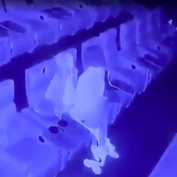 Couple Having Sex in Empty Movie Theatre Ends Up on Camera Couple Having Sex in Empty Movie Theatre Ends Up on Camera